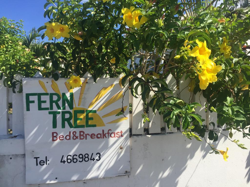 فريجيت باي Fern Tree Bed And Breakfast المظهر الخارجي الصورة
