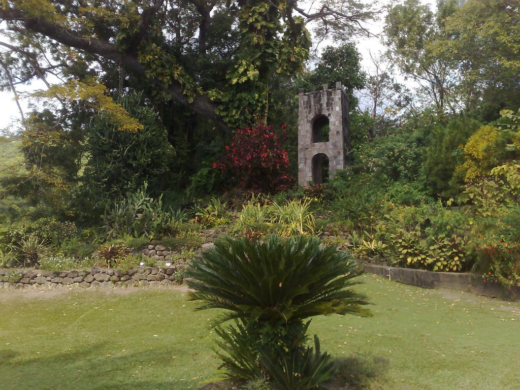 فريجيت باي Fern Tree Bed And Breakfast المظهر الخارجي الصورة